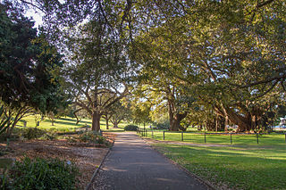 Sydney Royal
              Botanic Gardens