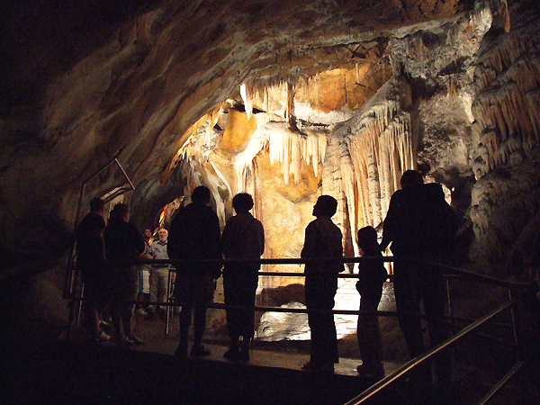 Chifley Cave Jenolan Caves